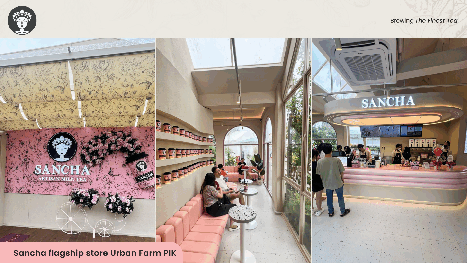 UPDATE - Sancha Brand Book Profile 2025_Page15